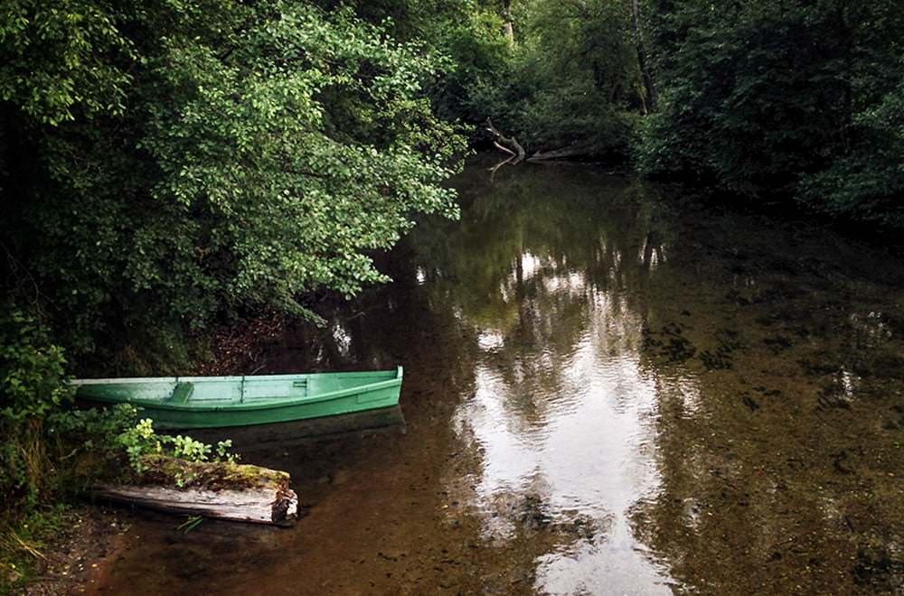 Image of river in Paluse