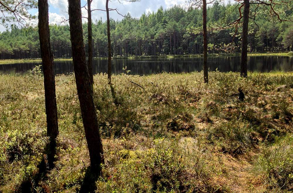 Image of lake in Lithuania