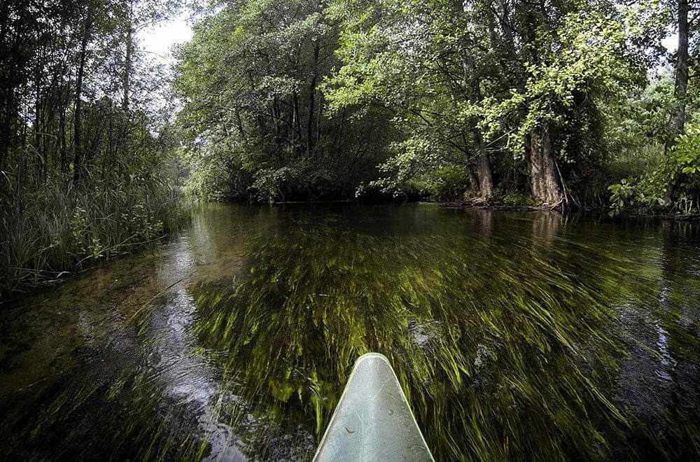 River in lake basin