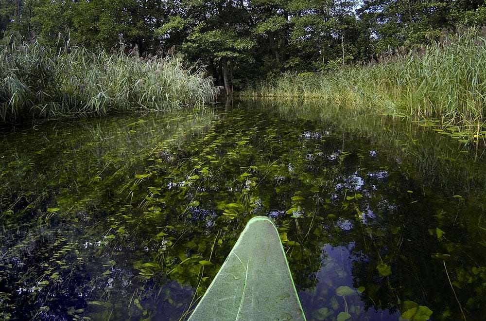 river lake kayak rent